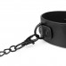 Нашийник с повідцем Bedroom Fantasies Collar & Leash , ,