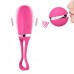 Выбройдайте Dorcel Secret Delight Magenta с пультом ДУ, с турборежимом и голосовым управлением. , Вибраторы